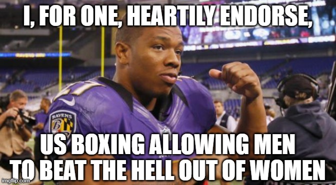 RAY RICE LEFT HOOK | I, FOR ONE, HEARTILY ENDORSE, US BOXING ALLOWING MEN TO BEAT THE HELL OUT OF WOMEN | image tagged in ray rice left hook | made w/ Imgflip meme maker
