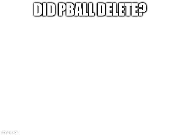 Blank White Template | DID PBALL DELETE? | image tagged in blank white template | made w/ Imgflip meme maker