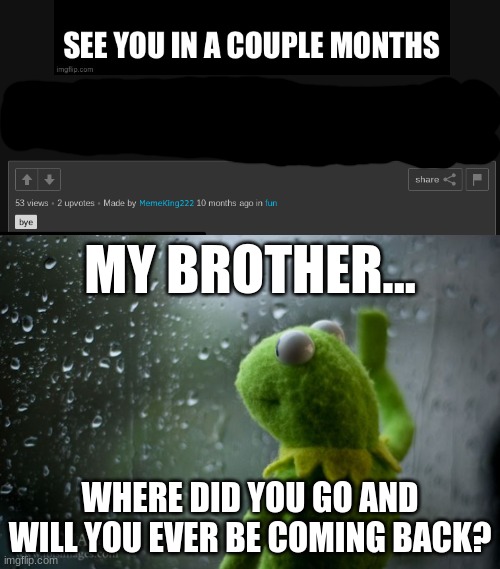 ten months later and he still isn't back :( | MY BROTHER... WHERE DID YOU GO AND WILL YOU EVER BE COMING BACK? | image tagged in kermit window,sad,not back yet,memeking222 | made w/ Imgflip meme maker