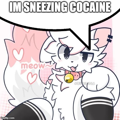 femboy boykisser speech bubble | IM SNEEZING COCAINE | image tagged in femboy boykisser speech bubble | made w/ Imgflip meme maker