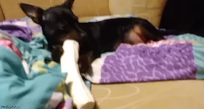 tiny ass monster chewing on his bone | made w/ Imgflip meme maker