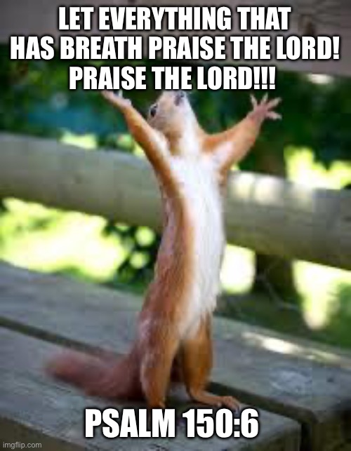 Praise the Lord!!! | LET EVERYTHING THAT HAS BREATH PRAISE THE LORD!
PRAISE THE LORD!!! PSALM 150:6 | image tagged in praise squirrel,praise the lord,prayer,bible verse,god | made w/ Imgflip meme maker