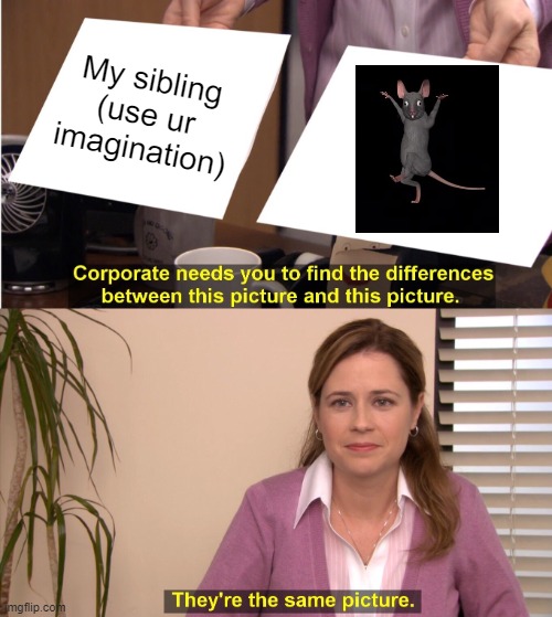 A lil rat | My sibling (use ur imagination) | image tagged in memes,they're the same picture,siblings,rat | made w/ Imgflip meme maker
