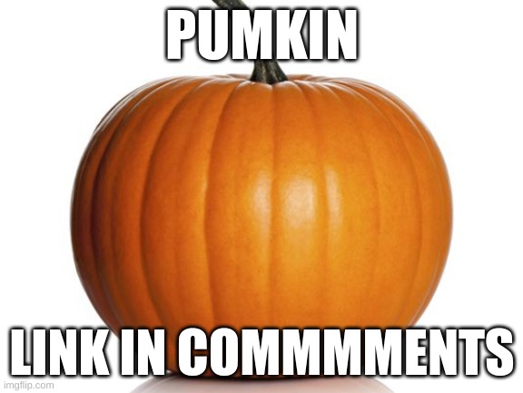 pumpkin | PUMKIN; LINK IN COMMMMENTS | image tagged in pumpkin | made w/ Imgflip meme maker