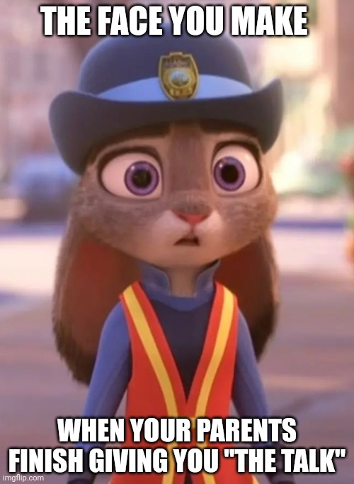 Judy Learns the Birds and the Bees | THE FACE YOU MAKE; WHEN YOUR PARENTS FINISH GIVING YOU "THE TALK" | image tagged in judy hopps stunned,zootopia,judy hopps,the face you make when,birds and bees,funny | made w/ Imgflip meme maker