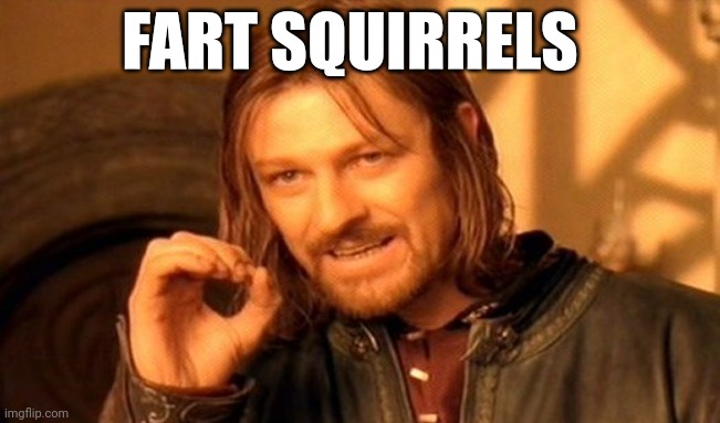 One Does Not Simply Meme | FART SQUIRRELS | image tagged in memes,one does not simply | made w/ Imgflip meme maker