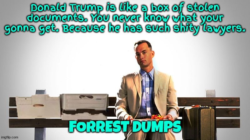 Forrest Trump takes a dump | image tagged in forrest gump,donald trump,life's like a box of chocolates,maga,inept crimiinal | made w/ Imgflip meme maker