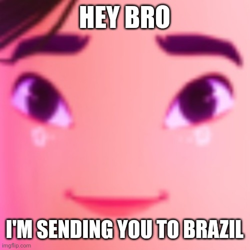 Funni meme | HEY BRO; I'M SENDING YOU TO BRAZIL | image tagged in funny memes,you're going to brazil | made w/ Imgflip meme maker