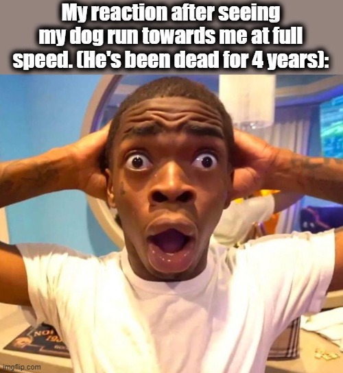 Shocked black guy HD | My reaction after seeing my dog run towards me at full speed. (He's been dead for 4 years): | image tagged in shocked black guy hd | made w/ Imgflip meme maker