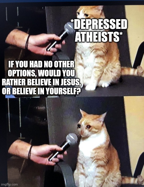 Or any non-christian with self esteem issues | *DEPRESSED ATHEISTS*; IF YOU HAD NO OTHER OPTIONS, WOULD YOU RATHER BELIEVE IN JESUS, OR BELIEVE IN YOURSELF? | image tagged in cat interview crying,memes,atheist | made w/ Imgflip meme maker