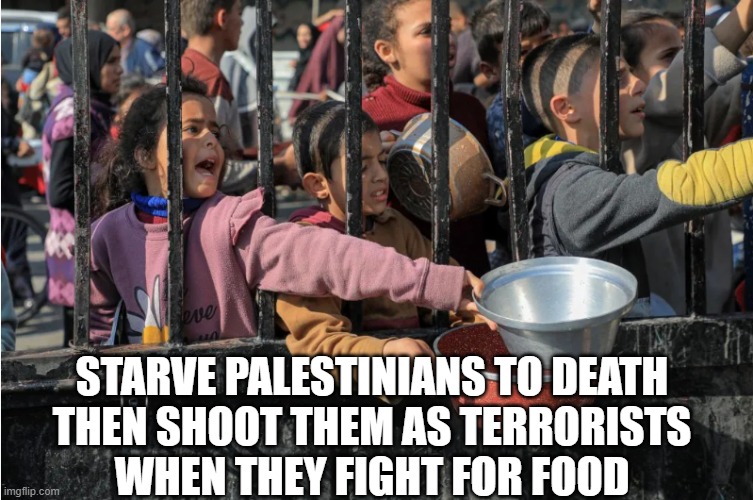 Famine for Genocide Terrorist Families | STARVE PALESTINIANS TO DEATH
THEN SHOOT THEM AS TERRORISTS
WHEN THEY FIGHT FOR FOOD | image tagged in starving,starvation,genocide,palestine,israel,terrorist | made w/ Imgflip meme maker