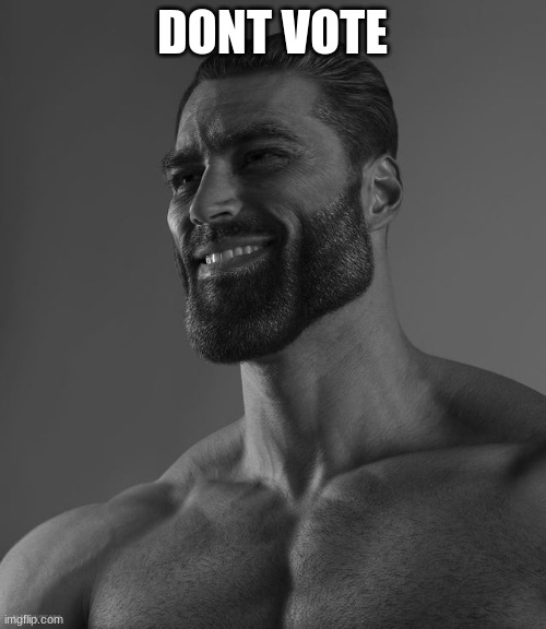 Giga Chad | DONT VOTE | image tagged in giga chad | made w/ Imgflip meme maker