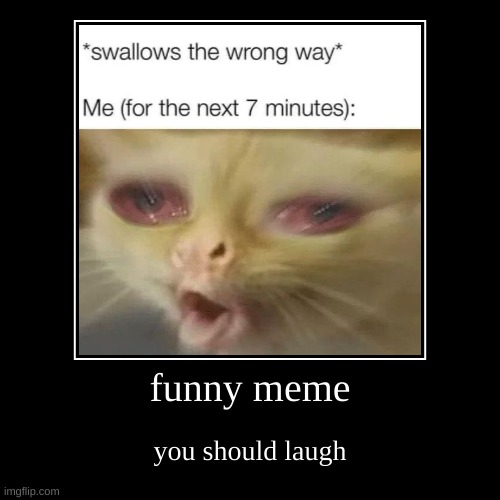 funny meme | you should laugh | image tagged in funny,demotivationals | made w/ Imgflip demotivational maker