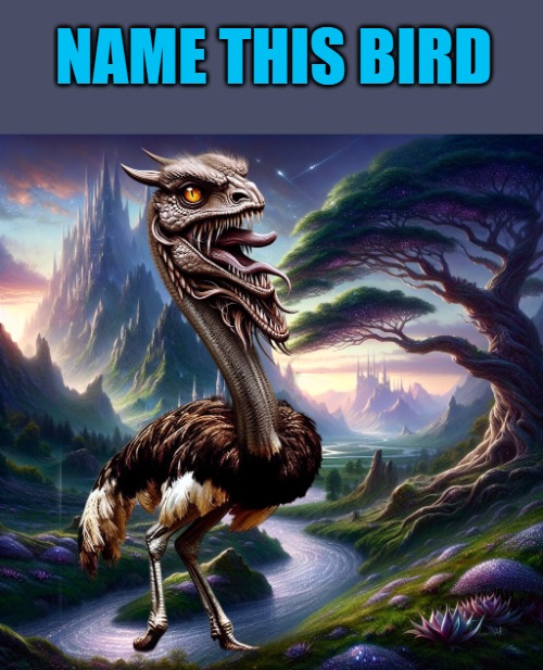 NAME THIS BIRD | made w/ Imgflip meme maker