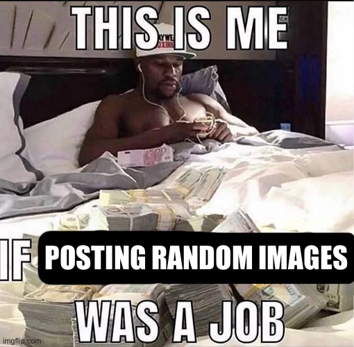 This is me If X was a job | POSTING RANDOM IMAGES | image tagged in this is me if x was a job | made w/ Imgflip meme maker