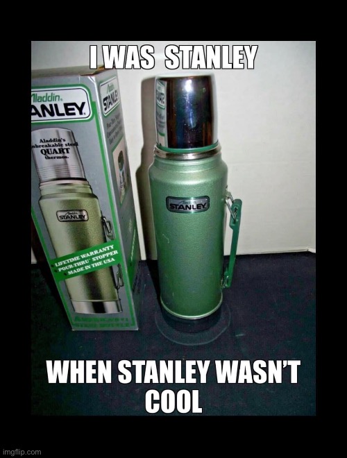 Stanley | image tagged in dad joke | made w/ Imgflip meme maker