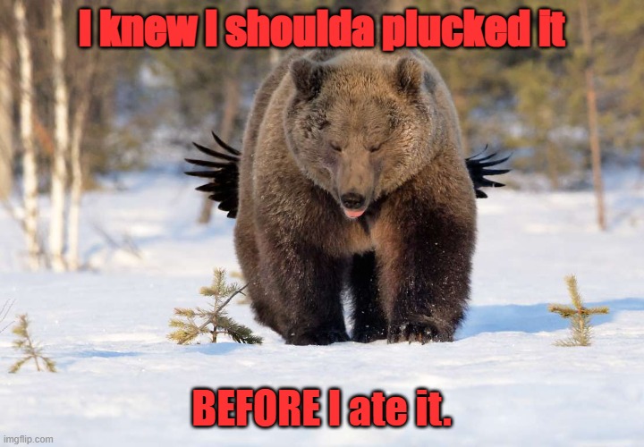 Indigestion | I knew I shoulda plucked it; BEFORE I ate it. | image tagged in bears | made w/ Imgflip meme maker