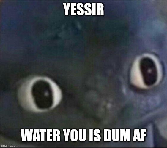 toothless blank stare | YESSIR WATER YOU IS DUM AF | image tagged in toothless blank stare | made w/ Imgflip meme maker