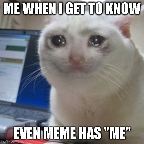 me+me=meme | ME WHEN I GET TO KNOW; EVEN MEME HAS "ME" | image tagged in crying cat,memes,funny memes,cat memes,funny cat memes | made w/ Imgflip meme maker