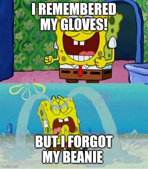 spongebob happy and sad | I REMEMBERED MY GLOVES! BUT I FORGOT MY BEANIE | image tagged in spongebob happy and sad | made w/ Imgflip meme maker