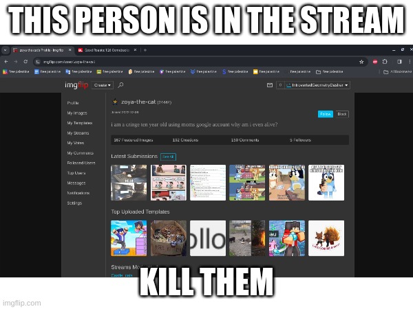 THIS PERSON IS IN THE STREAM; KILL THEM | made w/ Imgflip meme maker
