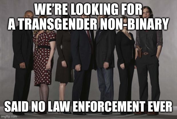 Love is not watching Criminal Minds without your wife | WE’RE LOOKING FOR A TRANSGENDER NON-BINARY; SAID NO LAW ENFORCEMENT EVER | image tagged in love is not watching criminal minds without your wife | made w/ Imgflip meme maker