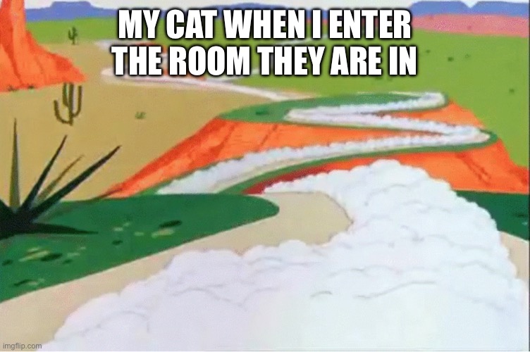 Cats Are So Skiddish | MY CAT WHEN I ENTER THE ROOM THEY ARE IN | image tagged in roadrunner dust,cat,run away,scared,run | made w/ Imgflip meme maker