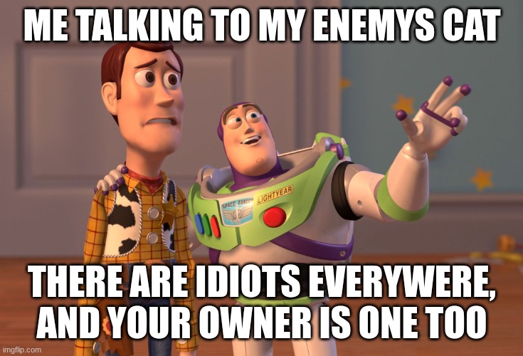 Burn! | ME TALKING TO MY ENEMYS CAT; THERE ARE IDIOTS EVERYWERE, AND YOUR OWNER IS ONE TOO | image tagged in memes,x x everywhere | made w/ Imgflip meme maker