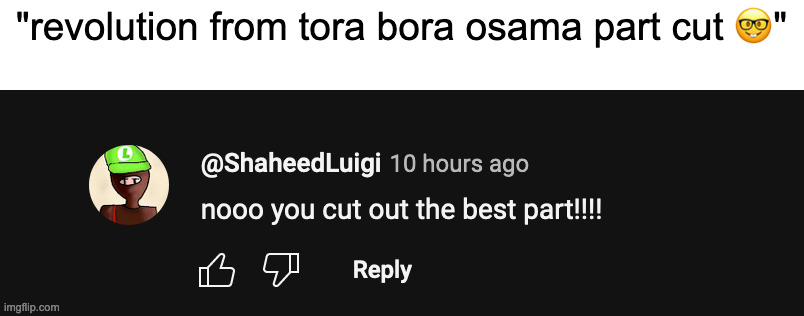 ana mawlana osama hits differently | "revolution from tora bora osama part cut 🤓" | made w/ Imgflip meme maker