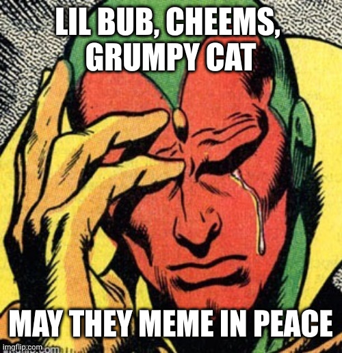 Meme in peace | LIL BUB, CHEEMS, 
GRUMPY CAT; MAY THEY MEME IN PEACE | image tagged in vision marvel world problems,marvel,lil bub,cheems,grumpy cat,memes | made w/ Imgflip meme maker