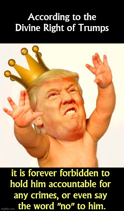 Goo Goo Gah Gah | According to the Divine Right of Trumps; it is forever forbidden to 
hold him accountable for 
any crimes, or even say 
the word "no" to him. | image tagged in baby trump king,trump,monarchy,king,no | made w/ Imgflip meme maker