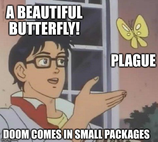 Doom comes in small packages | A BEAUTIFUL BUTTERFLY! PLAGUE; DOOM COMES IN SMALL PACKAGES | image tagged in memes,is this a pigeon,beautiful,butterfly,doom,plague | made w/ Imgflip meme maker