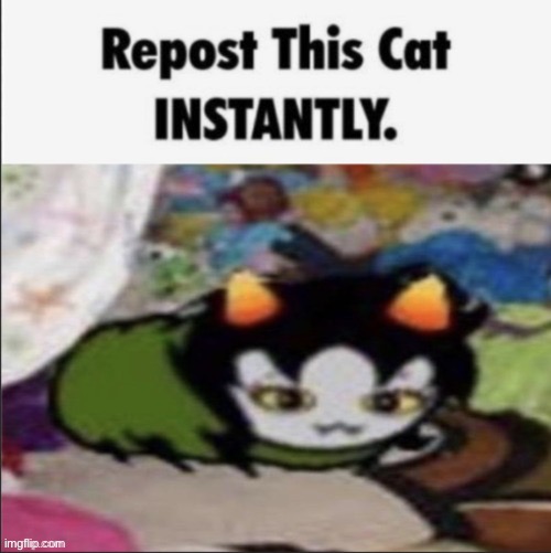 image tagged in repst | made w/ Imgflip meme maker