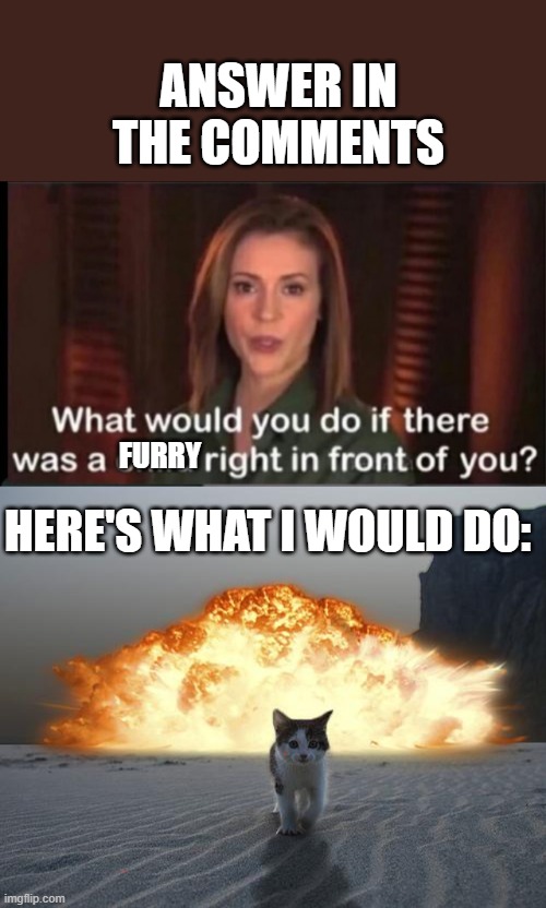 What would you do? | ANSWER IN THE COMMENTS; FURRY; HERE'S WHAT I WOULD DO: | image tagged in what would you do if there was a child right in front of you,cat explosion | made w/ Imgflip meme maker