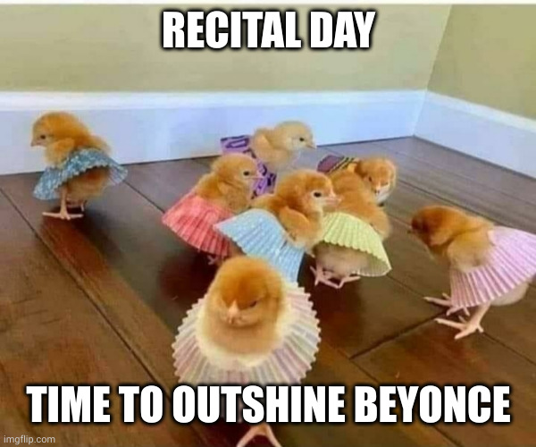 Recital day | RECITAL DAY; TIME TO OUTSHINE BEYONCE | image tagged in chicks in short skirts,memes,beyonce watch out,recital day,live to perform,destiny's chicks | made w/ Imgflip meme maker