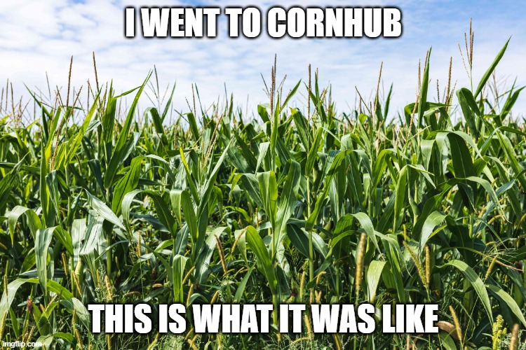 Cornhub | I WENT TO CORNHUB; THIS IS WHAT IT WAS LIKE | image tagged in cornfield | made w/ Imgflip meme maker