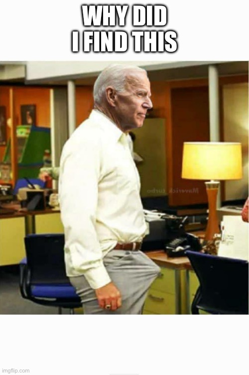 Joe Biden Boner | WHY DID I FIND THIS | image tagged in joe biden boner | made w/ Imgflip meme maker