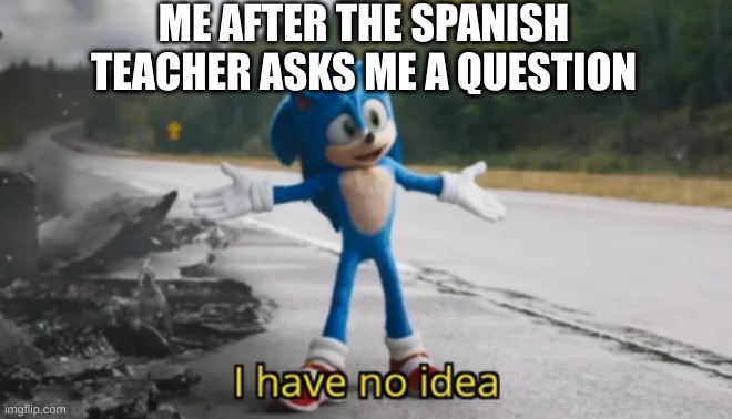 Sonic I have no idea | ME AFTER THE SPANISH TEACHER ASKS ME A QUESTION | image tagged in sonic i have no idea | made w/ Imgflip meme maker