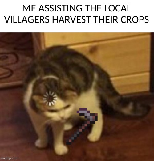 Loading cat | ME ASSISTING THE LOCAL VILLAGERS HARVEST THEIR CROPS | image tagged in loading cat | made w/ Imgflip meme maker