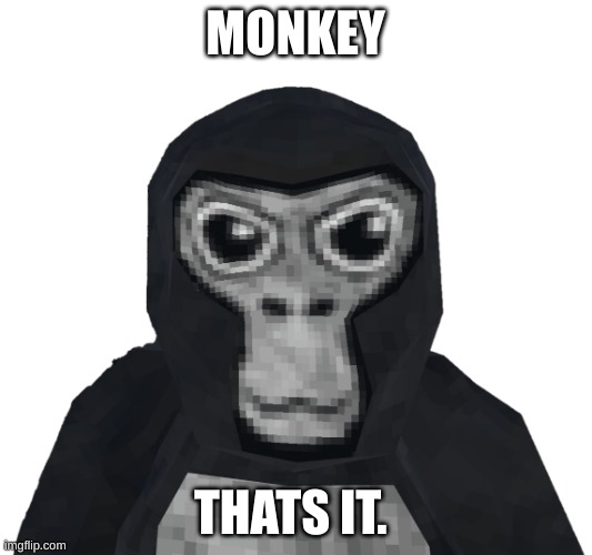 knee slapper | MONKEY; THATS IT. | image tagged in gorilla tag | made w/ Imgflip meme maker
