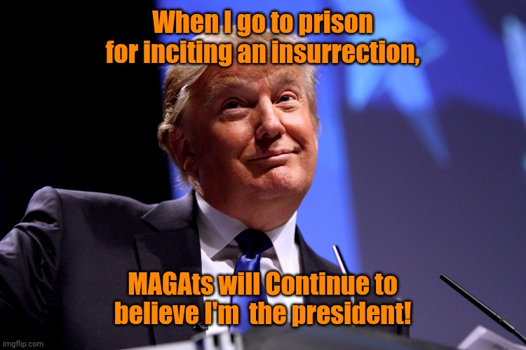 Donald Trump No2 | When I go to prison for inciting an insurrection, MAGAts will Continue to believe I'm  the president! | image tagged in donald trump no2 | made w/ Imgflip meme maker