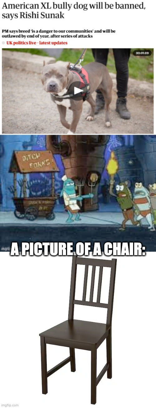 chair | A PICTURE OF A CHAIR: | image tagged in chair | made w/ Imgflip meme maker