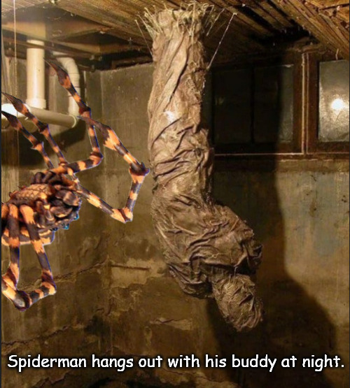 Spiderman at night | Spiderman hangs out with his buddy at night. | image tagged in memes,middle school,spiderman | made w/ Imgflip meme maker