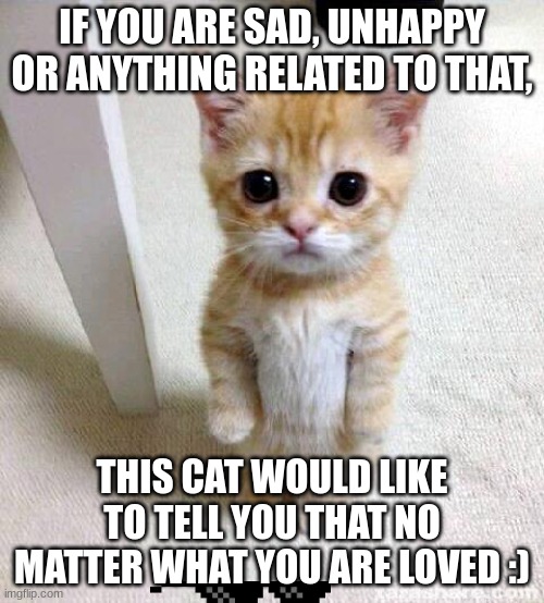See this meme if ur having a bad day | IF YOU ARE SAD, UNHAPPY OR ANYTHING RELATED TO THAT, THIS CAT WOULD LIKE TO TELL YOU THAT NO MATTER WHAT YOU ARE LOVED :) | image tagged in memes,cute cat | made w/ Imgflip meme maker