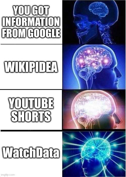 Expanding Brain | YOU GOT INFORMATION FROM GOOGLE; WIKIPIDEA; YOUTUBE SHORTS; WatchData | image tagged in memes,expanding brain | made w/ Imgflip meme maker