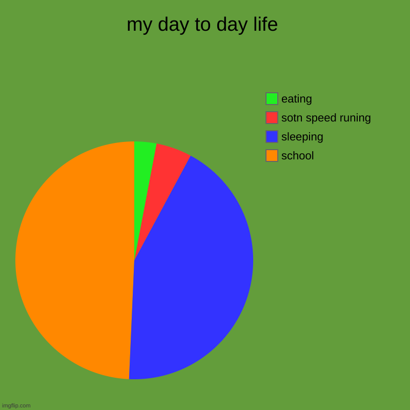 my day to day life | school, sleeping, sotn speed runing, eating | image tagged in charts,pie charts | made w/ Imgflip chart maker