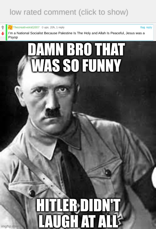 Damn Bro Just Admitted He Nazi :skull: | DAMN BRO THAT WAS SO FUNNY; HITLER DIDN'T LAUGH AT ALL | image tagged in adolf hitler,low rated comment | made w/ Imgflip meme maker