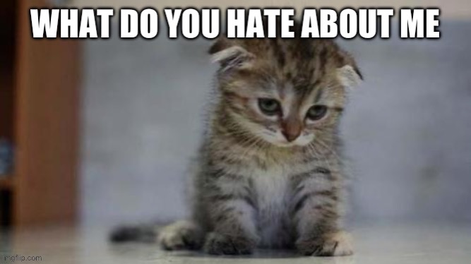 “I won’t regret this at all” | made w/ Imgflip meme maker