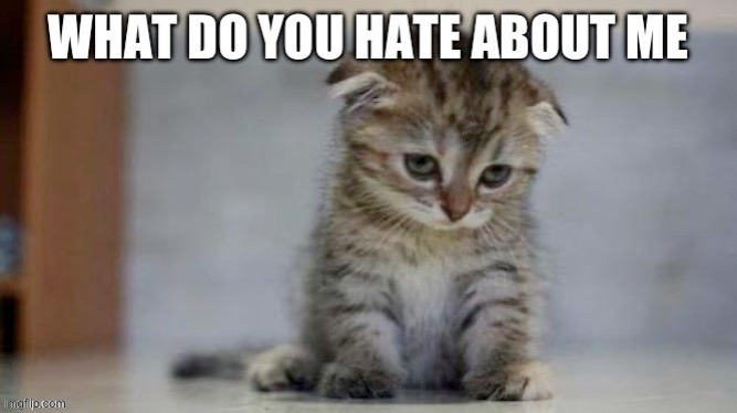 pls don't be smug and say "everything" | made w/ Imgflip meme maker