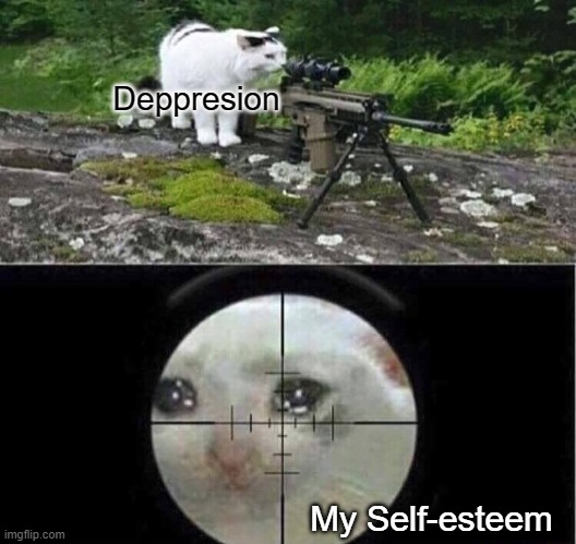 damn | Deppresion; My Self-esteem | image tagged in sniper cat | made w/ Imgflip meme maker